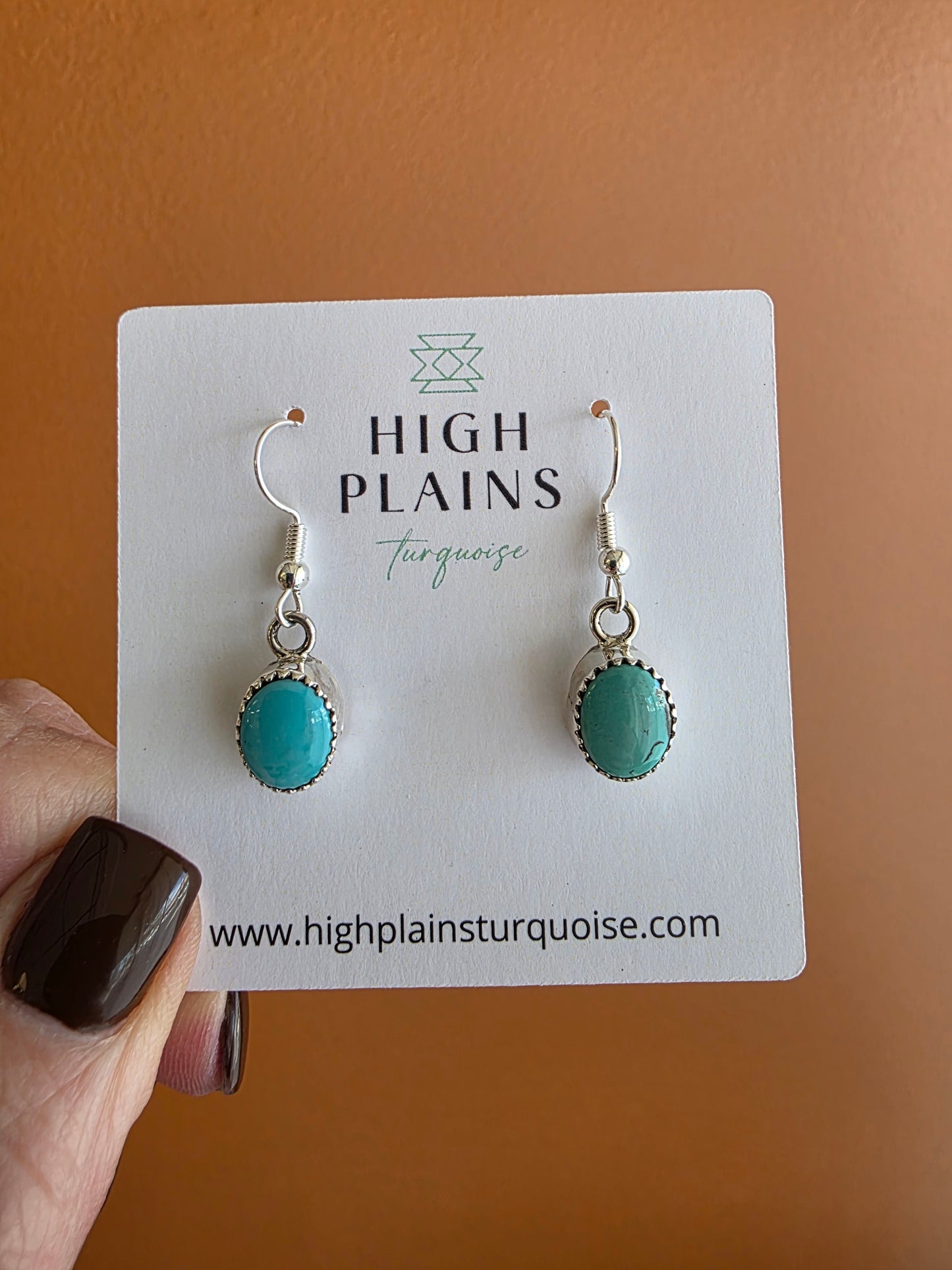 Serrated Bezel Kingman Turquoise French Wire Earrings