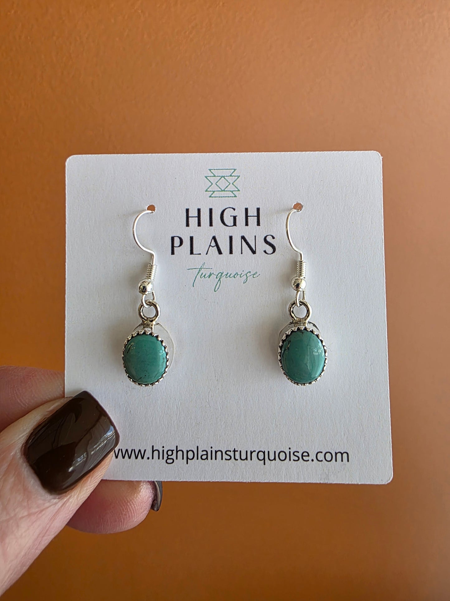 Serrated Bezel Kingman Turquoise French Wire Earrings