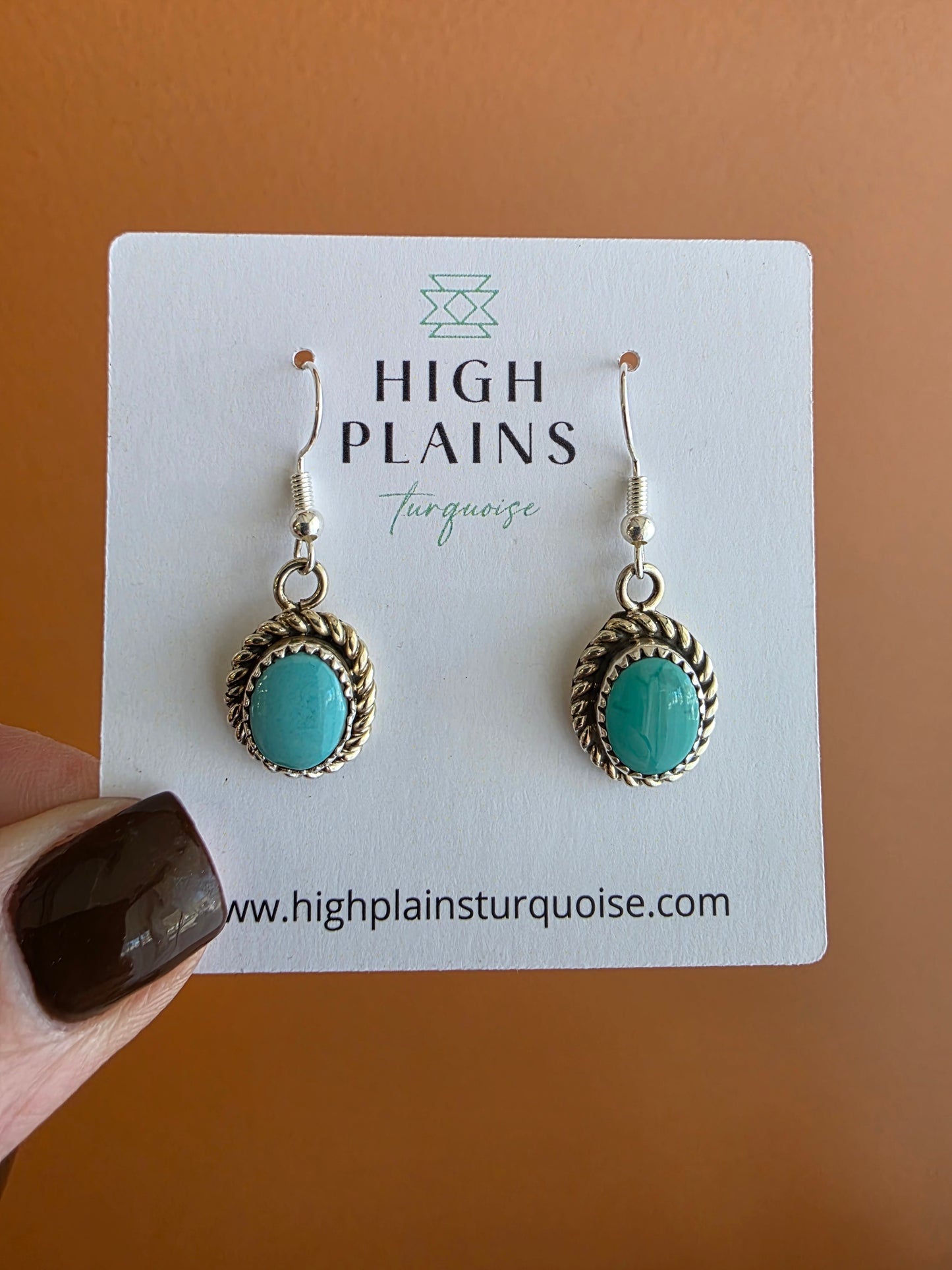Oval Stone Sterling Rope Accent Earrings