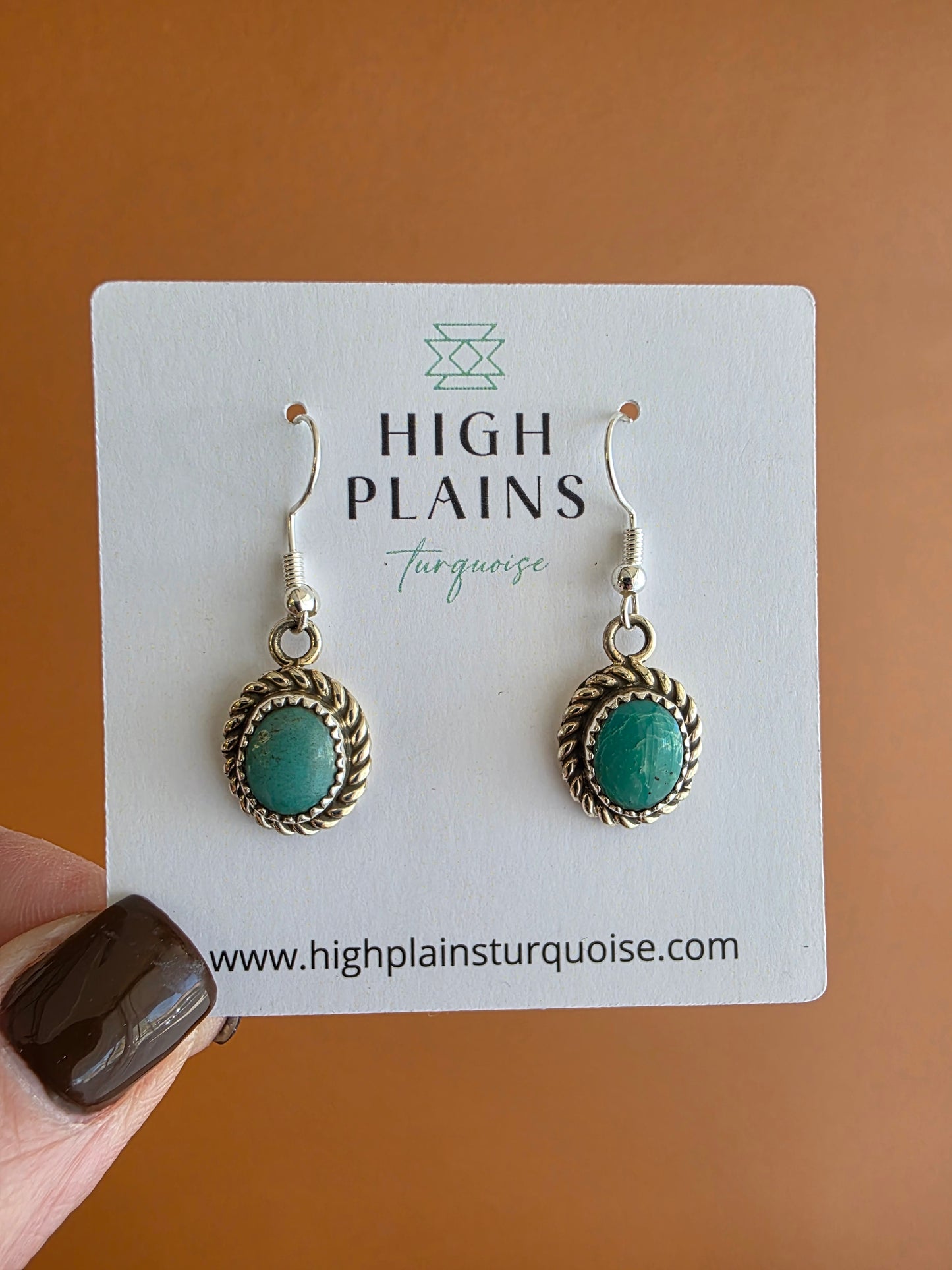 Oval Stone Sterling Rope Accent Earrings