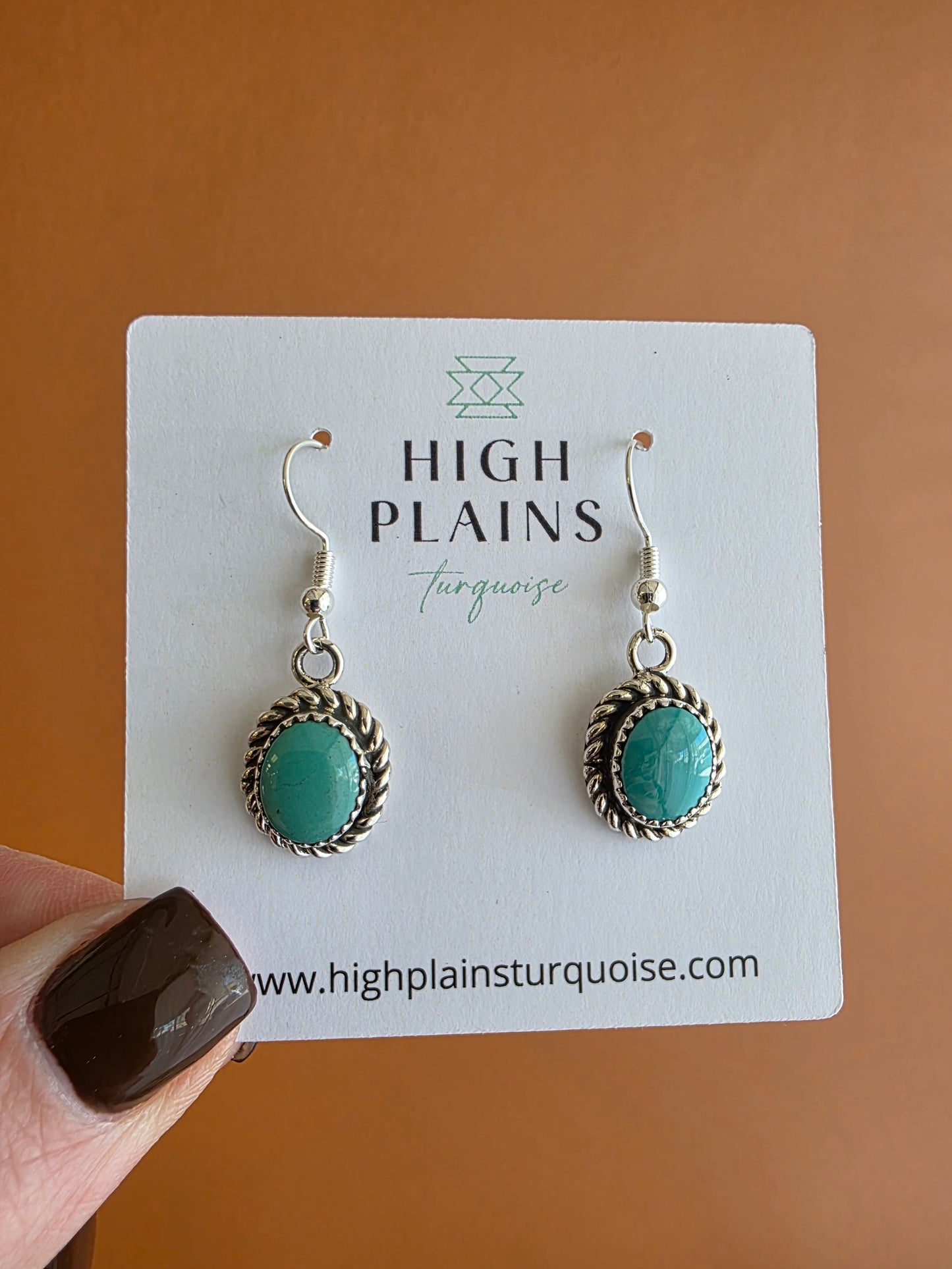 Oval Stone Sterling Rope Accent Earrings