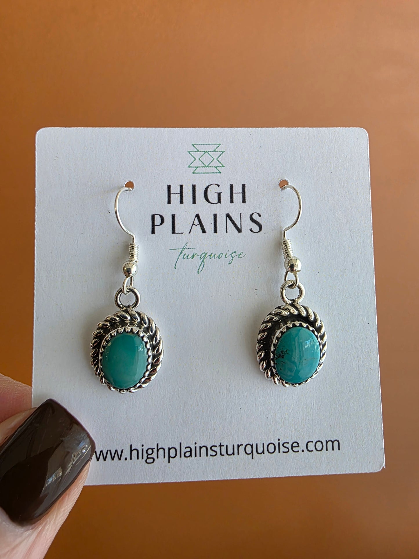 Oval Stone Sterling Rope Accent Earrings