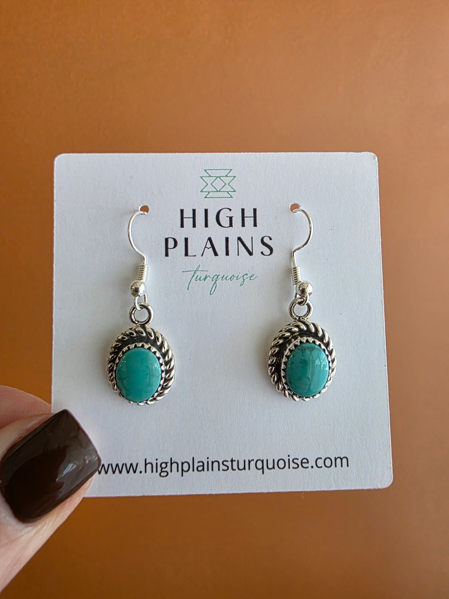 Oval Stone Sterling Rope Accent Earrings