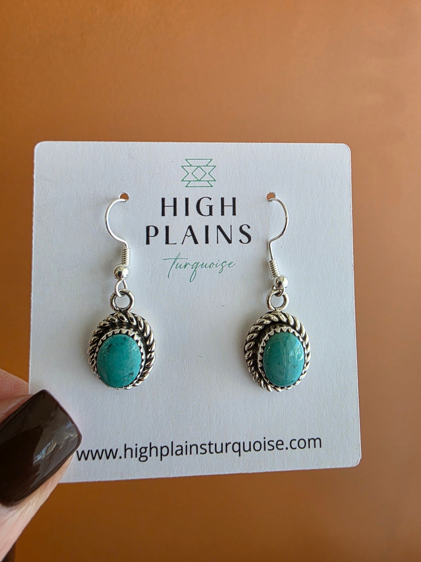 Oval Stone Sterling Rope Accent Earrings