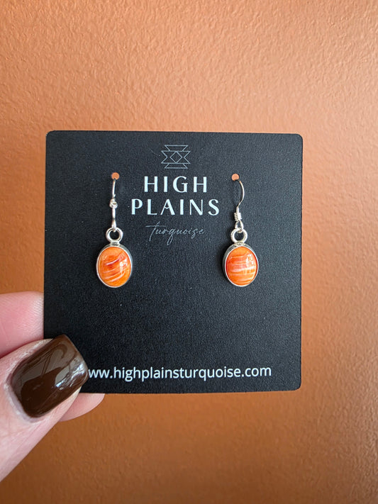 Simple Spiny Drop Earrings