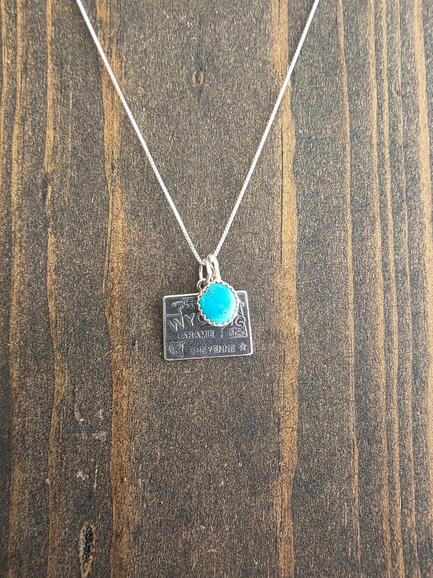 Wyoming Turquoise Charm Necklace