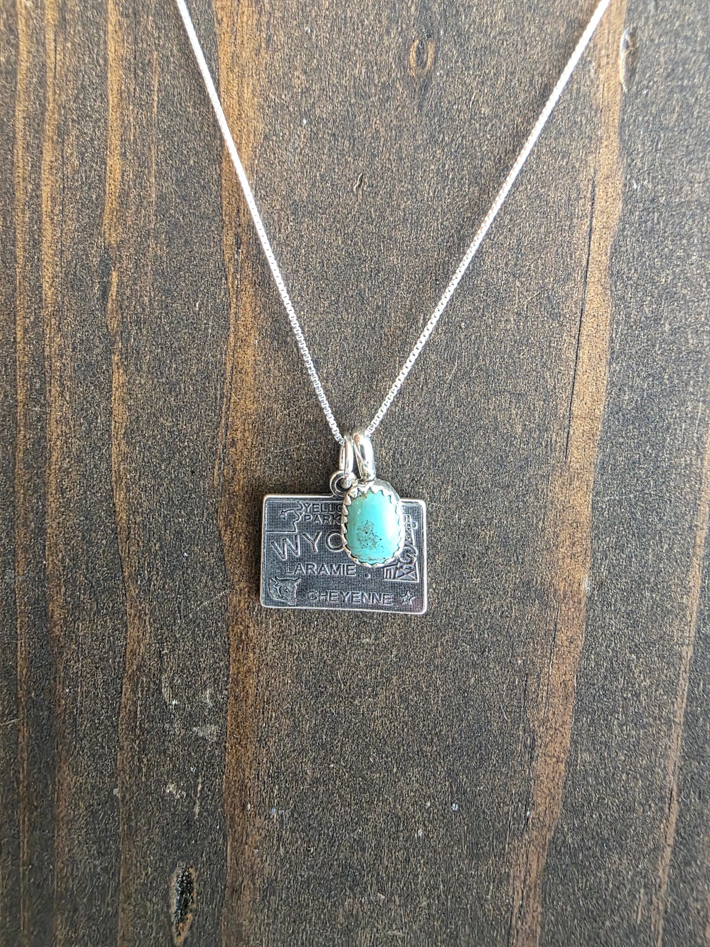 Wyoming Turquoise Charm Necklace