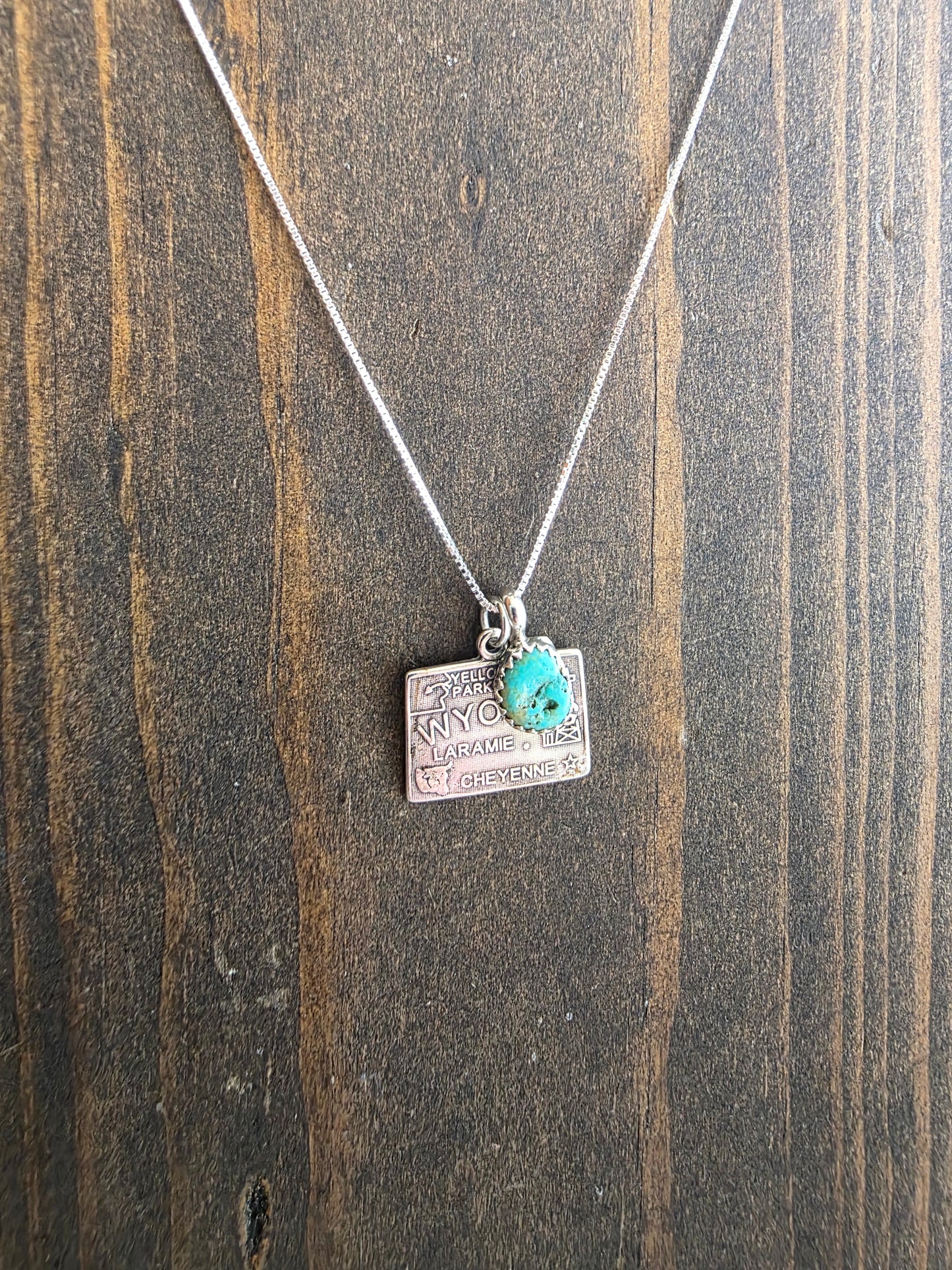 Wyoming Turquoise Charm Necklace