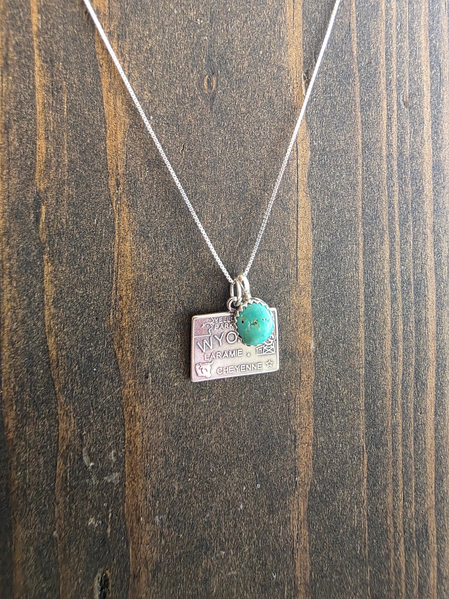 Wyoming Turquoise Charm Necklace