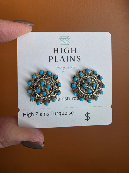 Zuni Sleeping Beauty Turquoise Snake Eye Earrings
