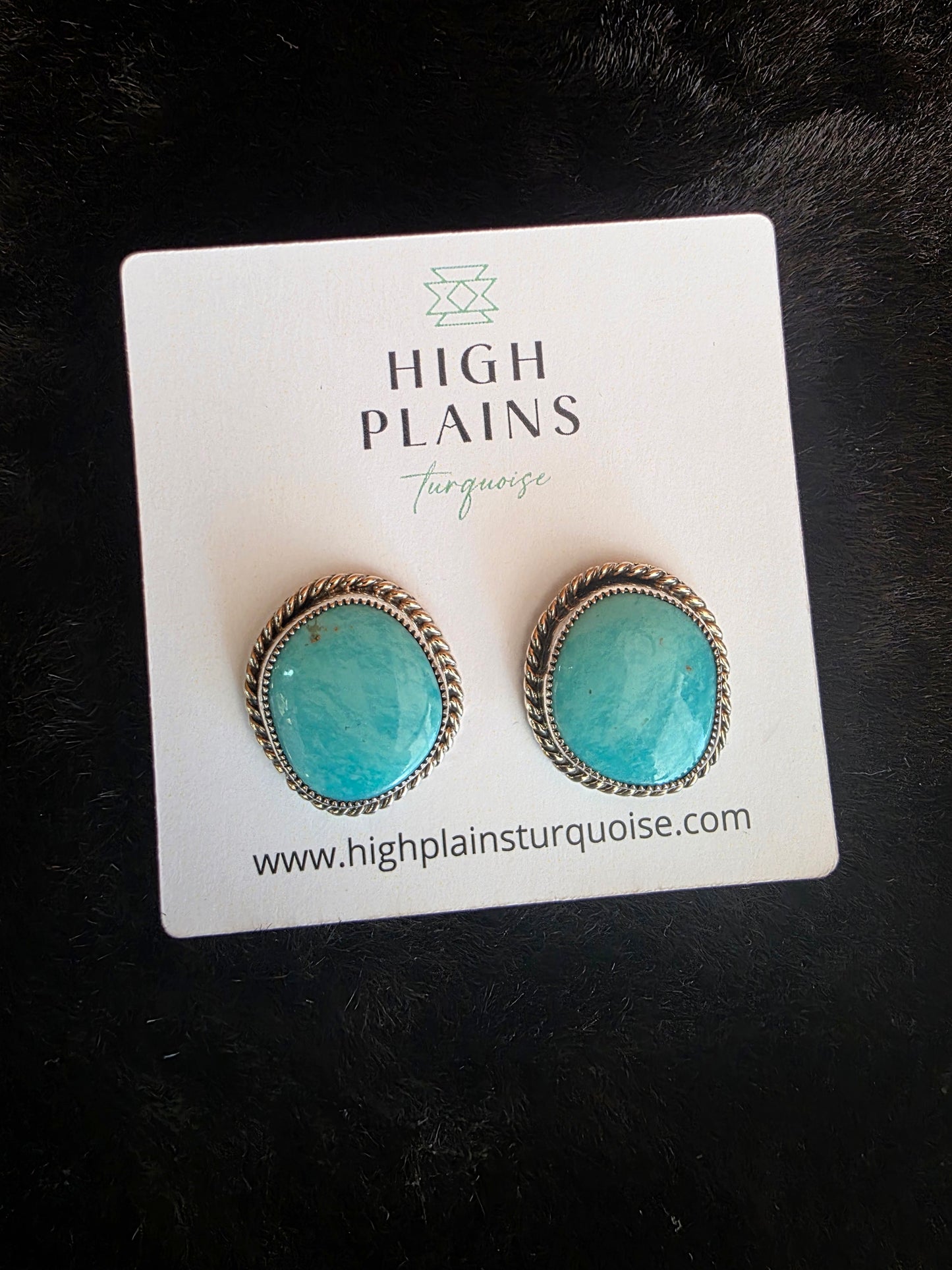 Freeform Cloud Mountain Turquoise Earrings