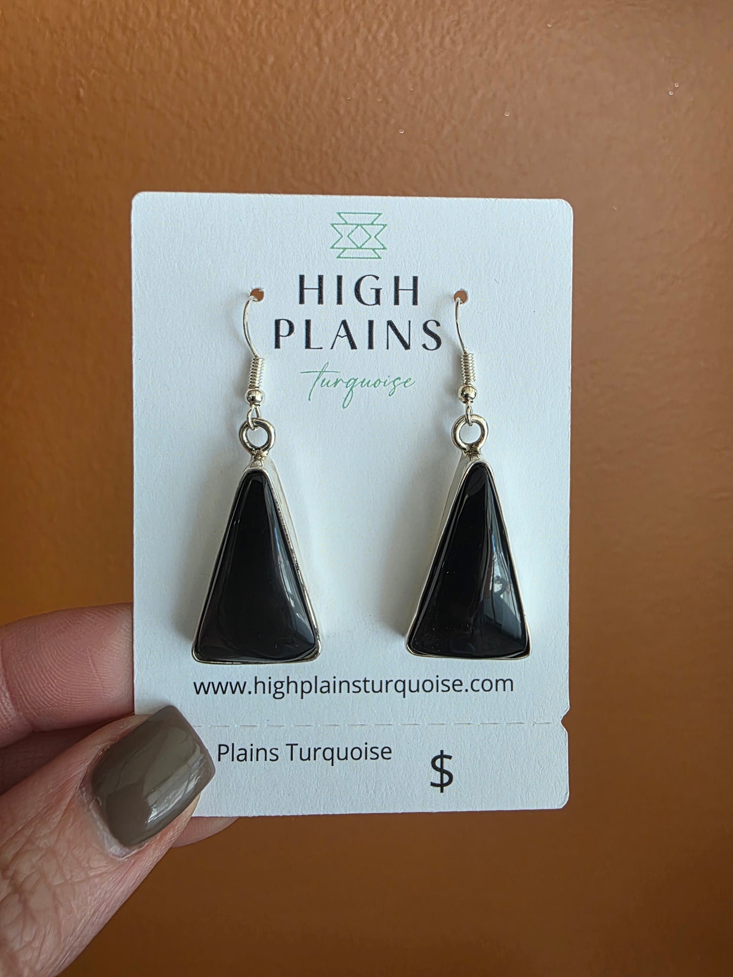 Large Stone Black Onyx Contemporary Earrings