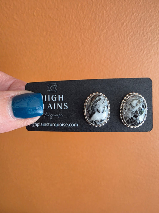 Classic White Buffalo Studs
