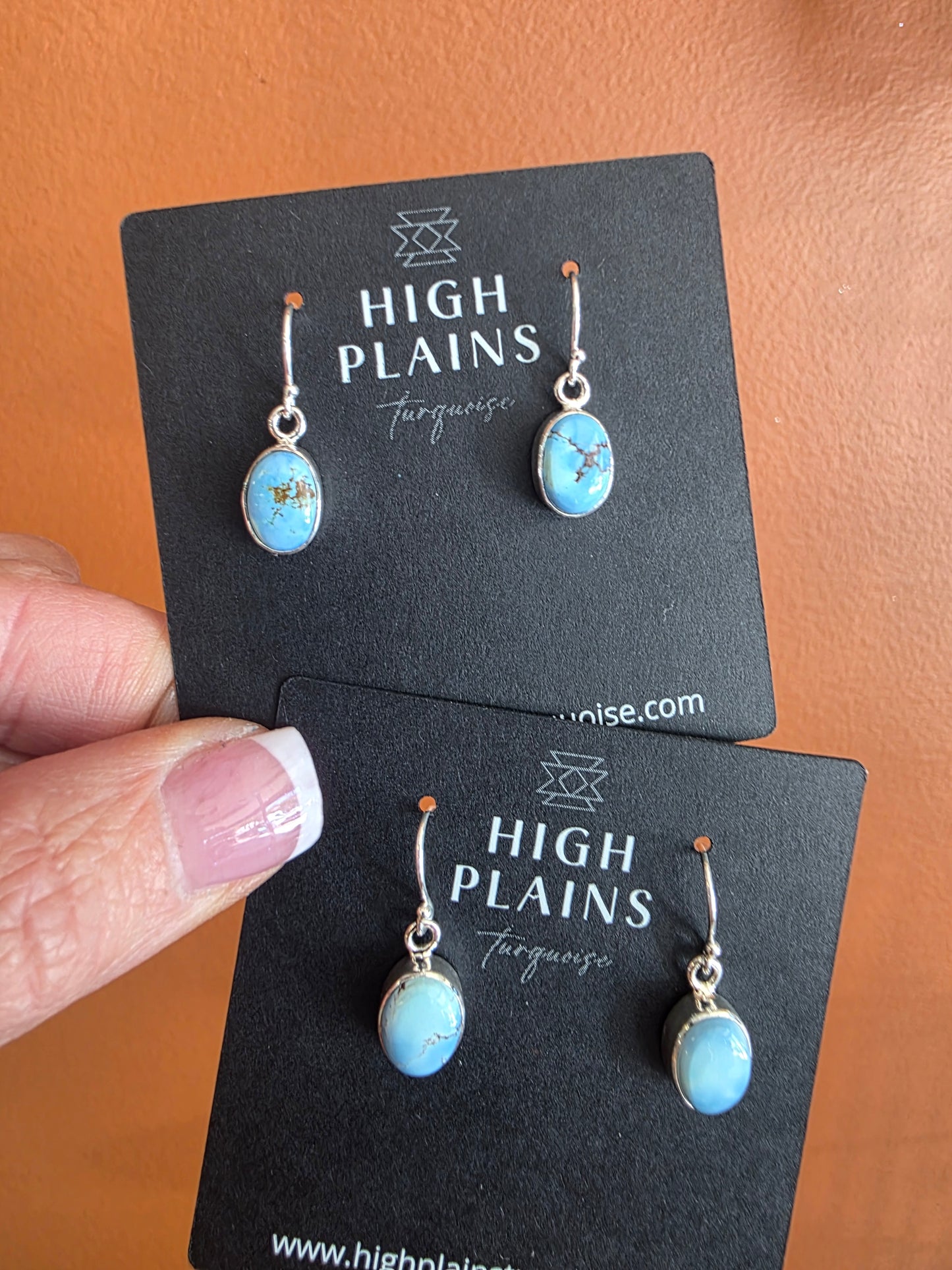 Bluebird Sky Earrings
