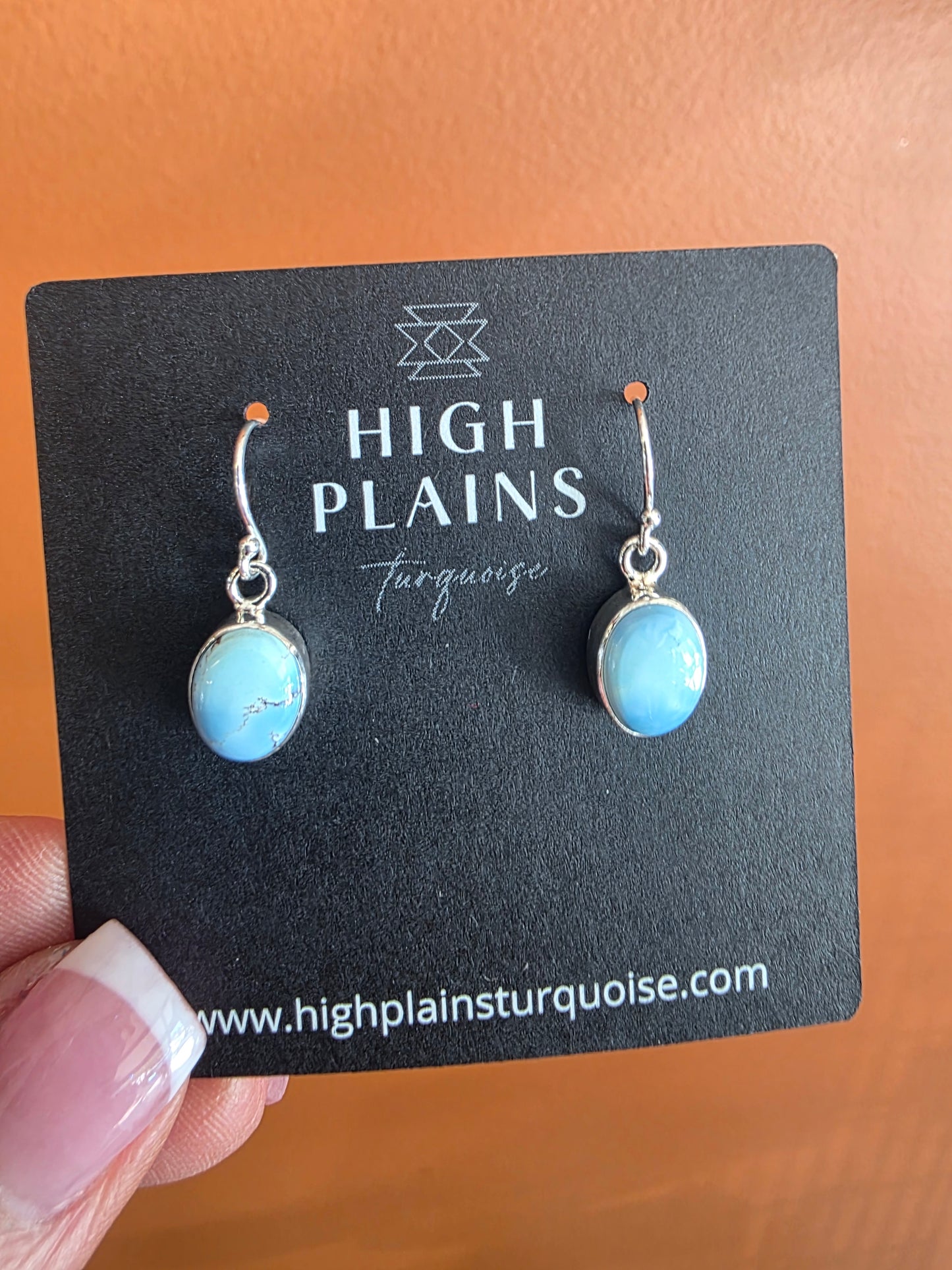 Bluebird Sky Earrings
