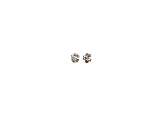 Sterling Silver Prickly Pear Cactus Earrings