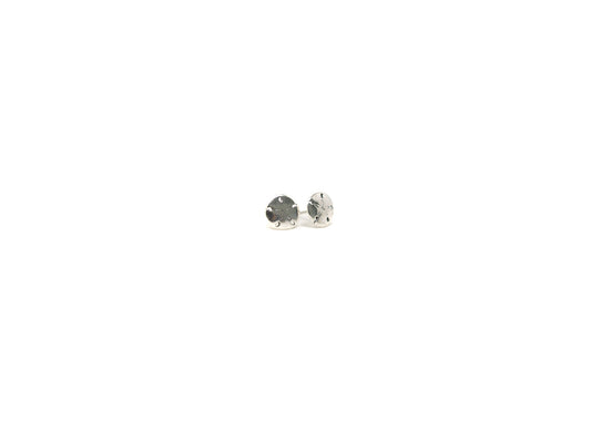 Sterling Silver Sand Dollar Earrings