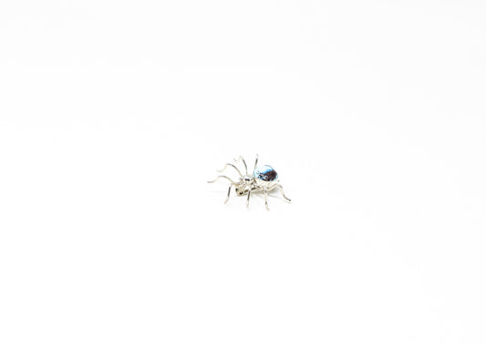 Golden Hills Turquoise Spider Pin