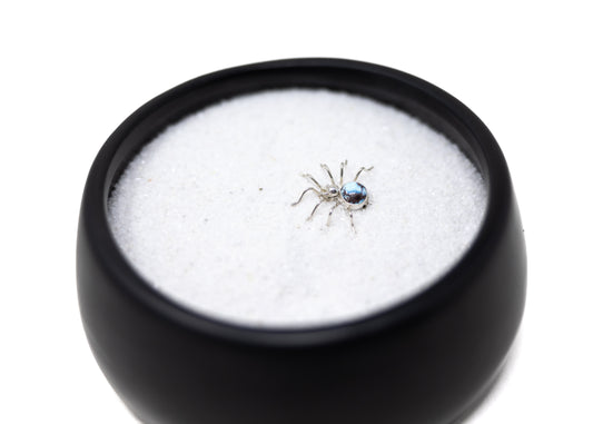 Golden Hills Turquoise Spider Pin