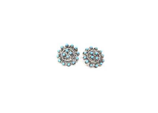 Zuni Sleeping Beauty Turquoise Snake Eye Earrings