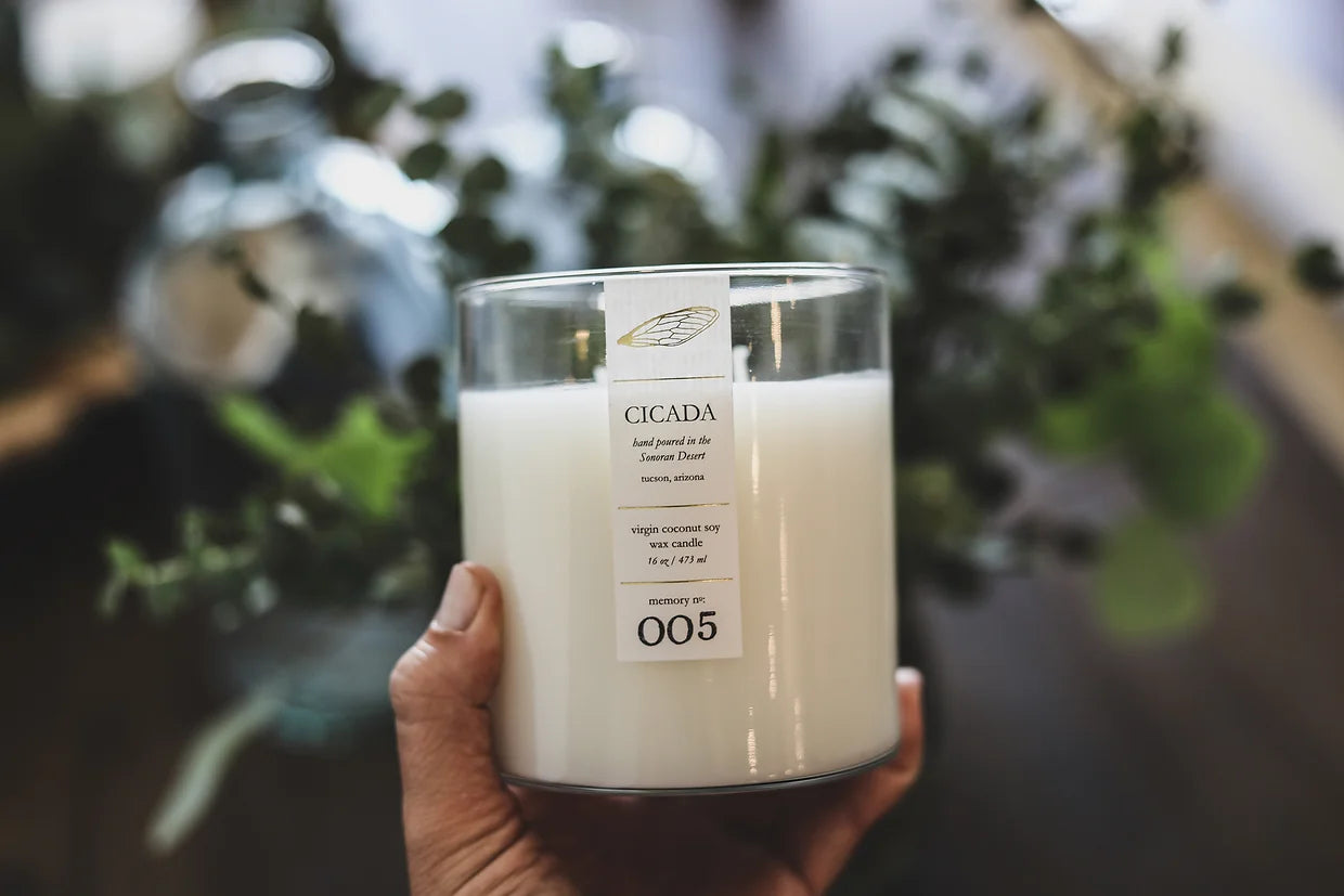 CICADA No. 005 cactus blossom candle w/waxed gift box