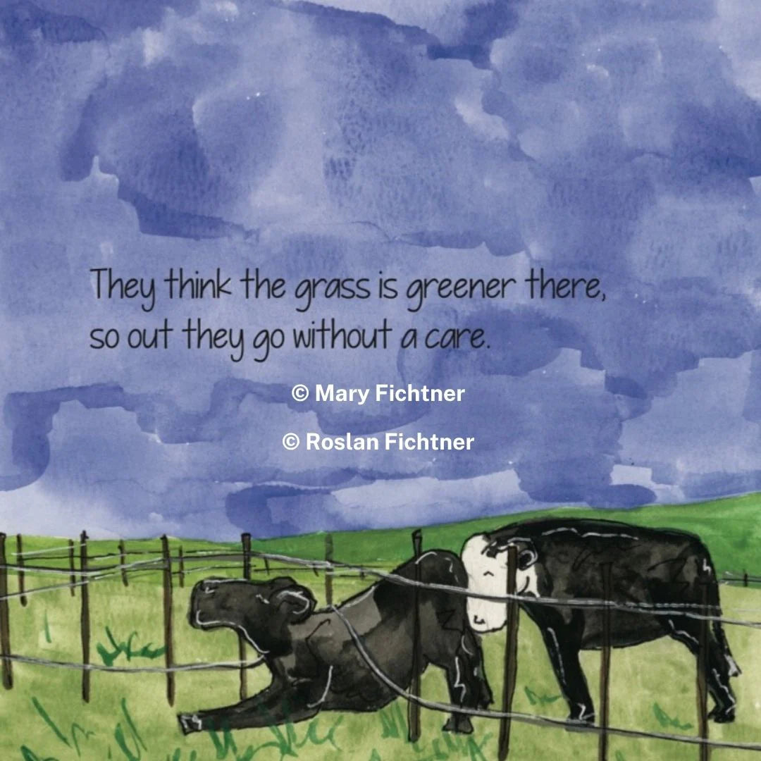 The Cows are Out