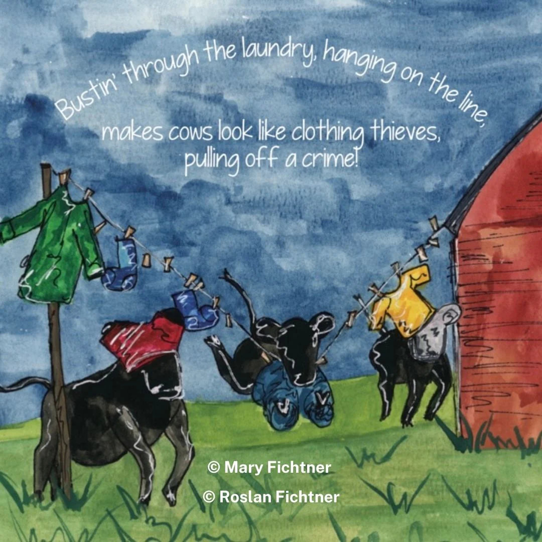 The Cows are Out
