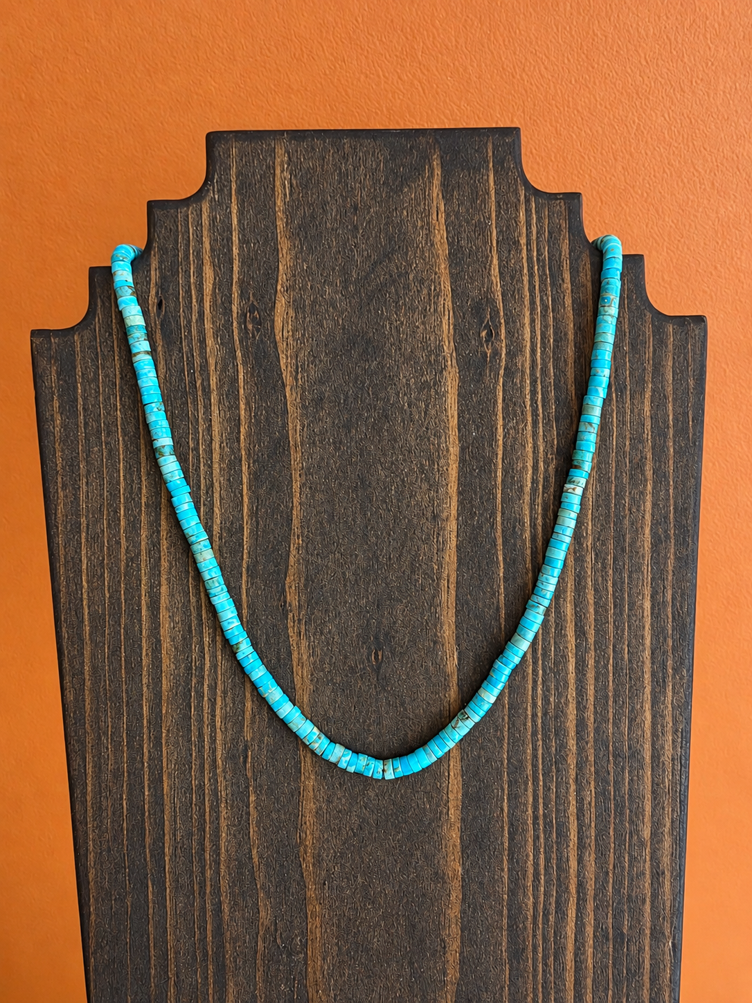 Santo Domingo Jasper Heishi Necklace
