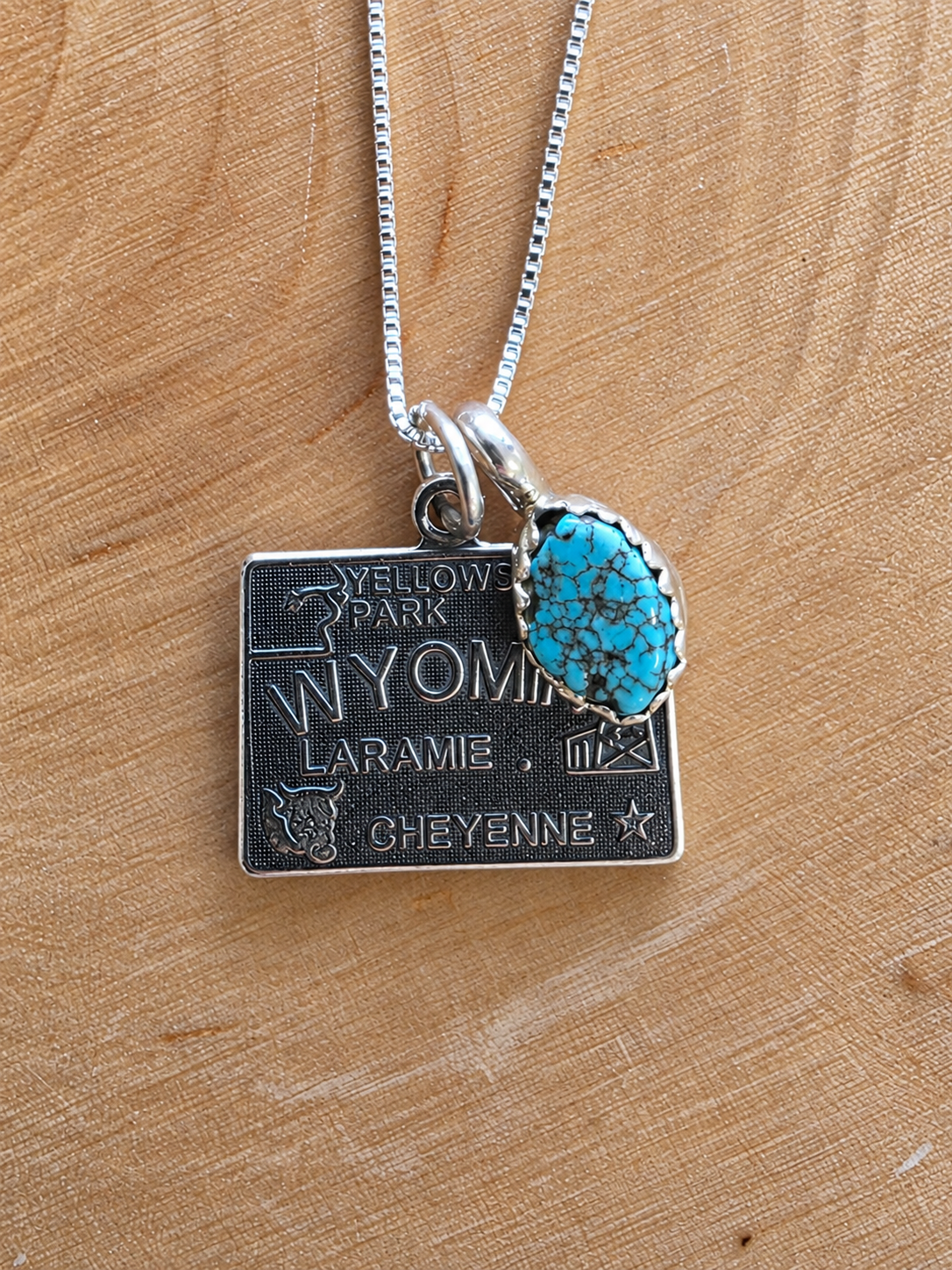 Wyoming Turquoise Charm Necklace