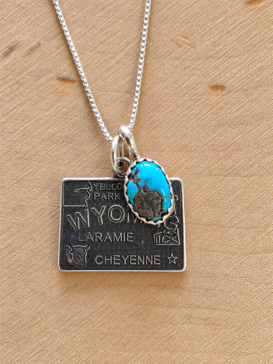 Wyoming Turquoise Charm Necklace
