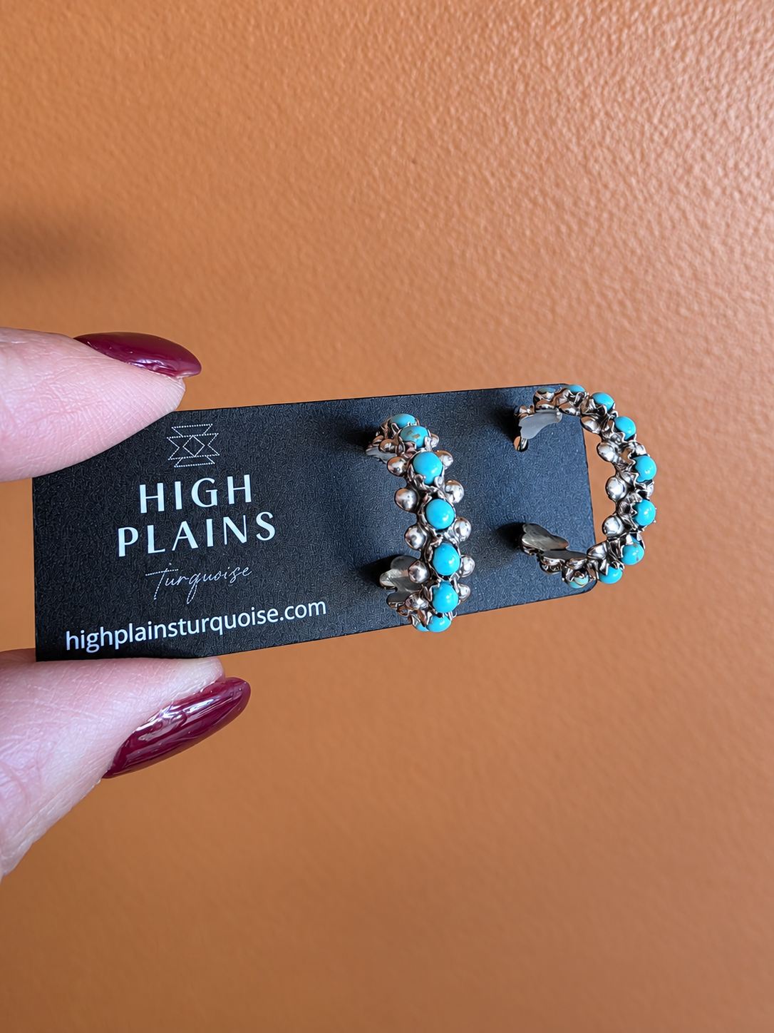 Zuni Turquoise Snake Eye Earrings