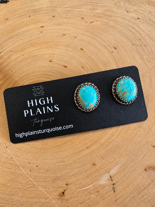 Patagonia Turquoise Stud Earrings