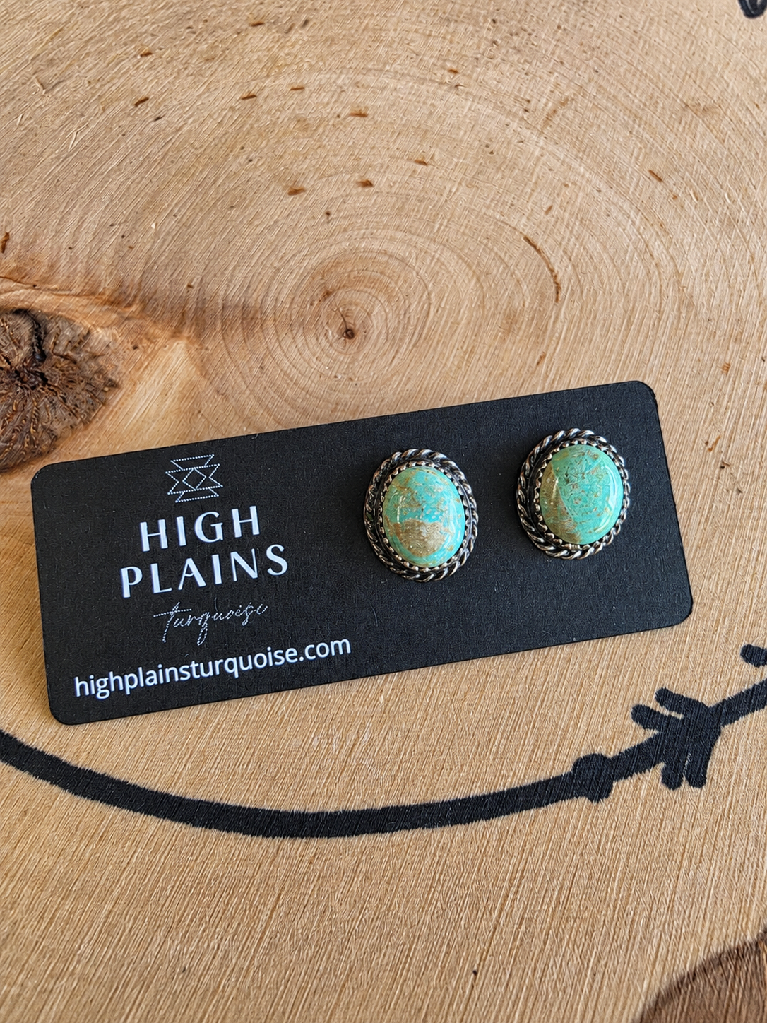Patagonia Turquoise Stud Earrings