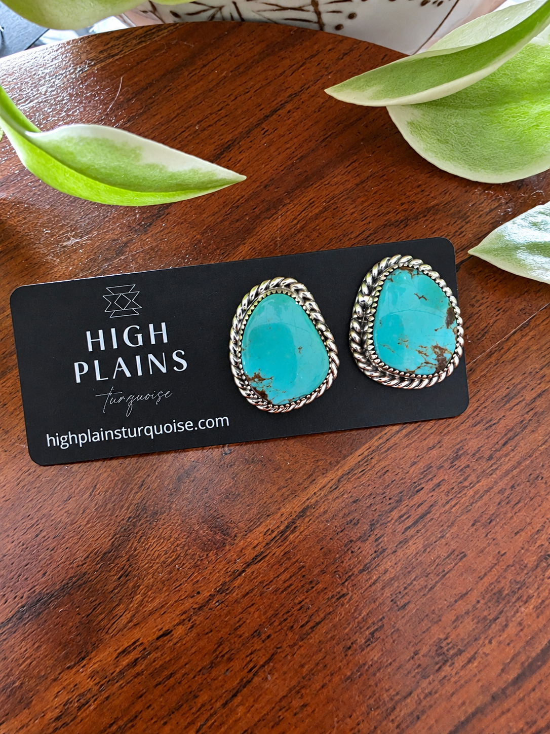 Green Kingman Turquoise Rope Border Earrings