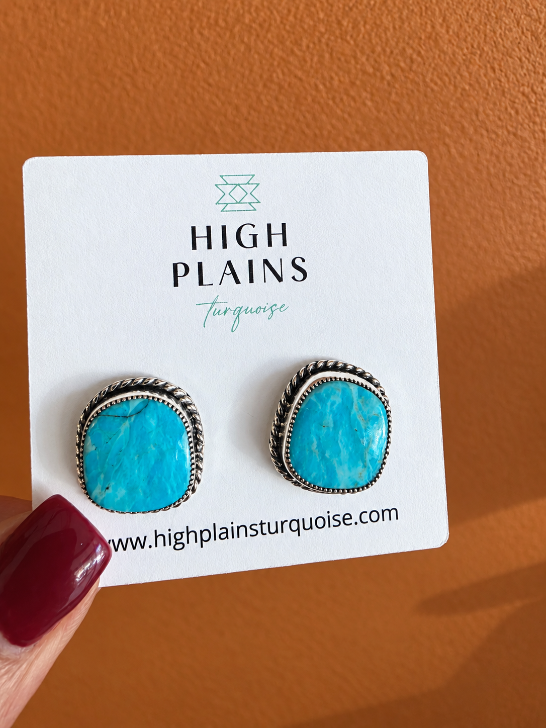 Blue Kingman Rope Border Stud Earrings