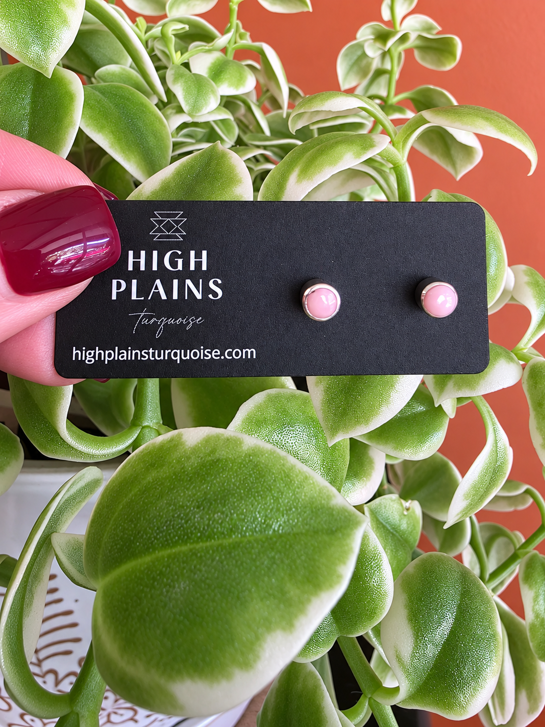 Perfect Pink Conch Sterling Wrapped Studs