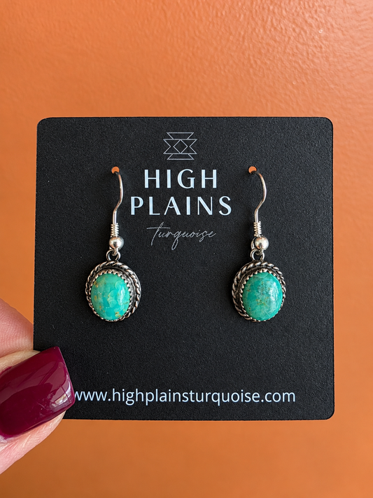 Patagonia Turquoise Drop Earrings