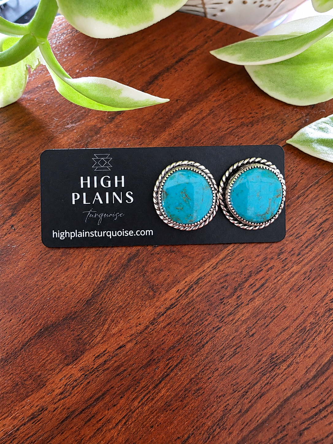 Green Kingman Turquoise Rope Border Earrings