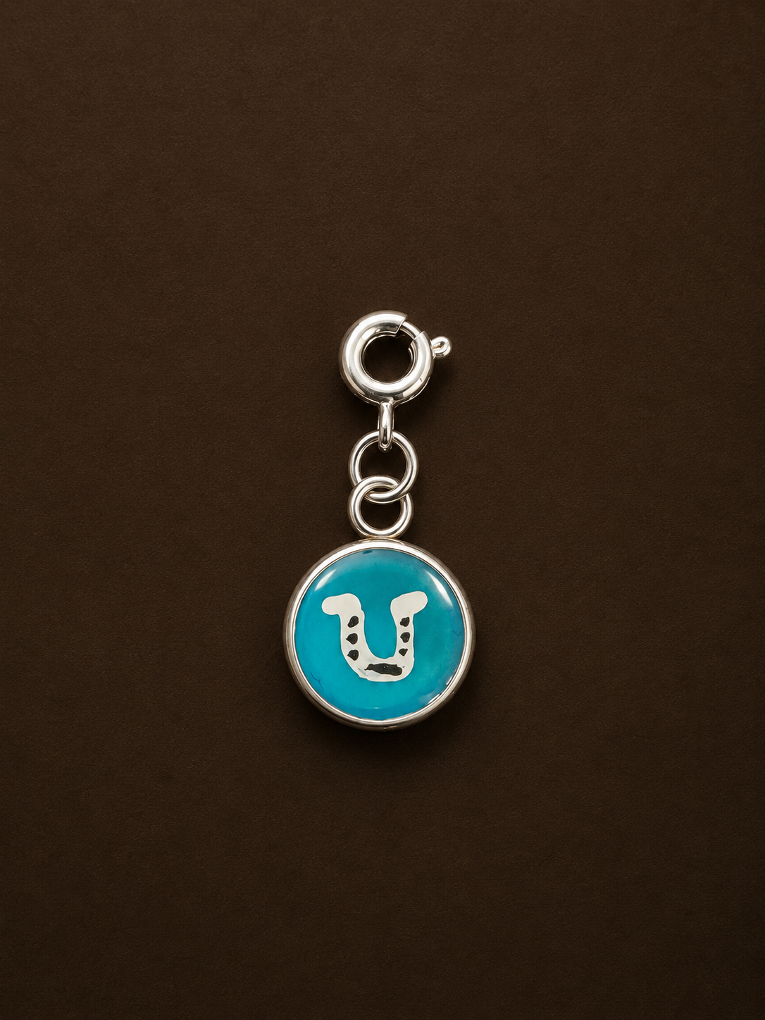 Hand Painted Western Round Charms (Small)