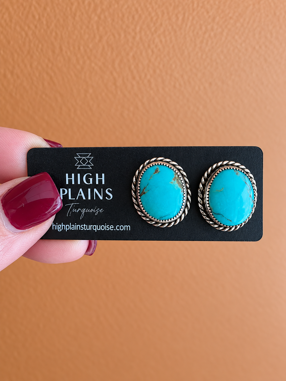 Western Sky Stud Earrings
