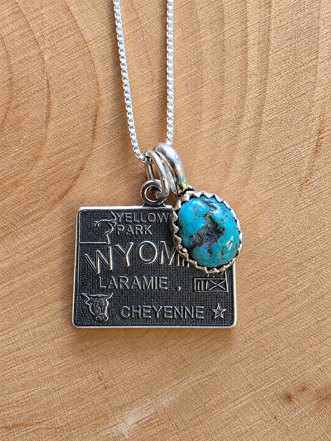 Wyoming Turquoise Charm Necklace