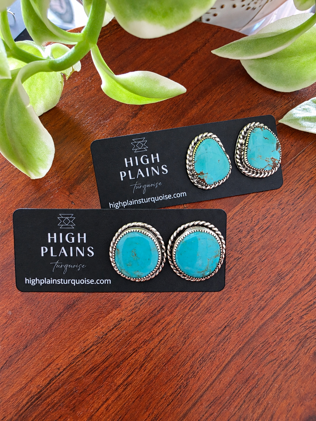 Green Kingman Turquoise Rope Border Earrings