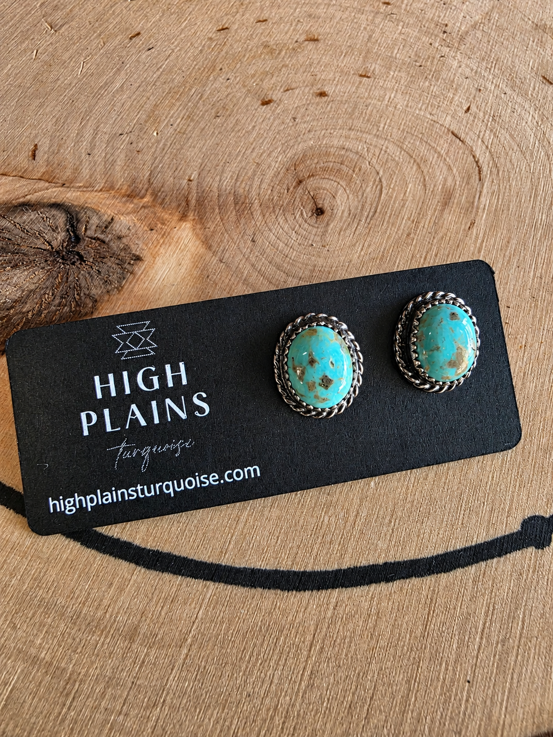 Patagonia Turquoise Stud Earrings