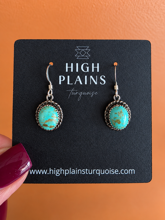 Patagonia Turquoise Drop Earrings