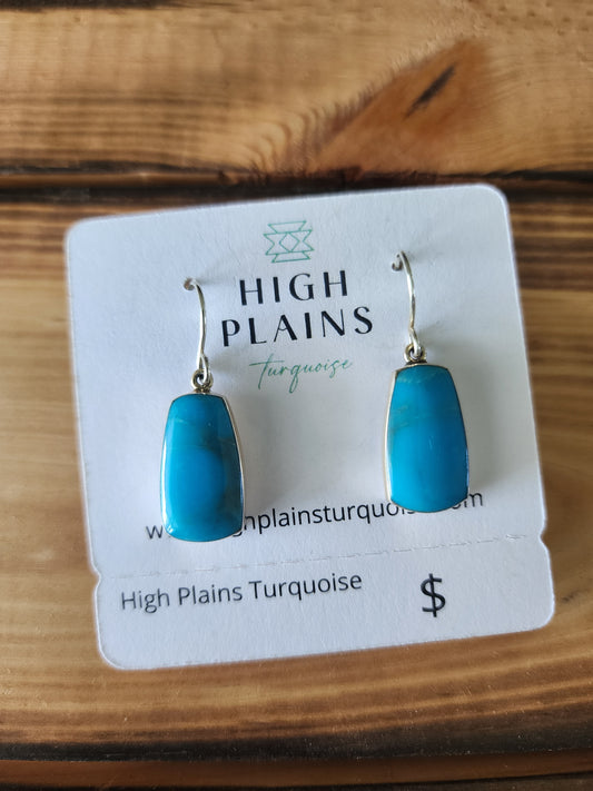 Cathy Webster Turquoise French Hook Earrings (various types)