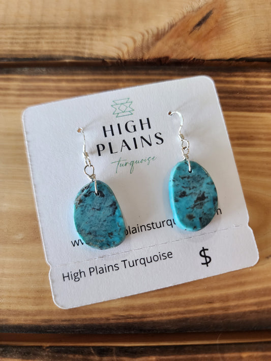 Small Turquoise Slab Earrings