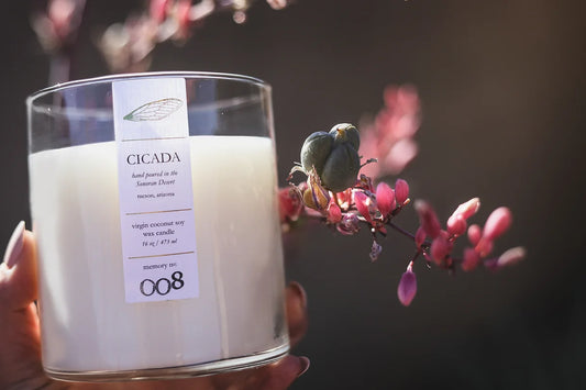 CICADA No. 008 wildflower candle w/sealed gift box